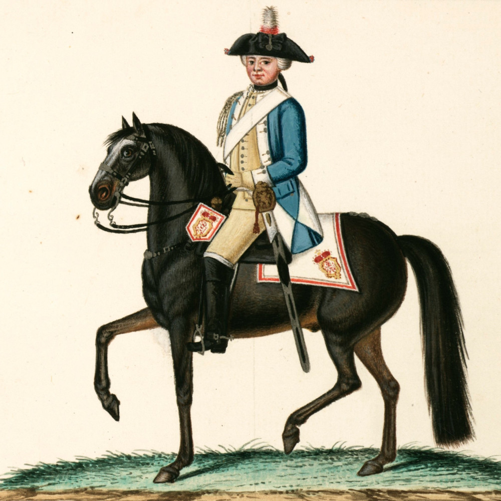 Dragoner-Regiment vacant (Dalwigk). Dragoner. 1704 als Regiment zu Pferd v. Hanstein errichtet. Im Jahre 1788 im Prinz Friedrich Dragoner-Regiment aufgegangen.