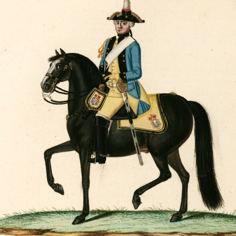 Dragoner-Regiment v. Schlotheim. Dragoner. 1704 als Regiment zu Pferd Graf Erbach errichtet. 1788 im Leibdragoner-Regiment aufgegangen.