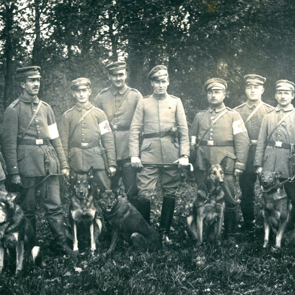 Sanitätsmannschaften mit Sanitätshunden. Orginales undatiertes Foto. Die Sanitäter führen so genannte Labeflaschen mit sich.  Es sollen insgesamt ca. 6-7000 Sanitätshunde (zumeist dt. Schäferhunde) an der Front zum Einsatz gekommen sein.